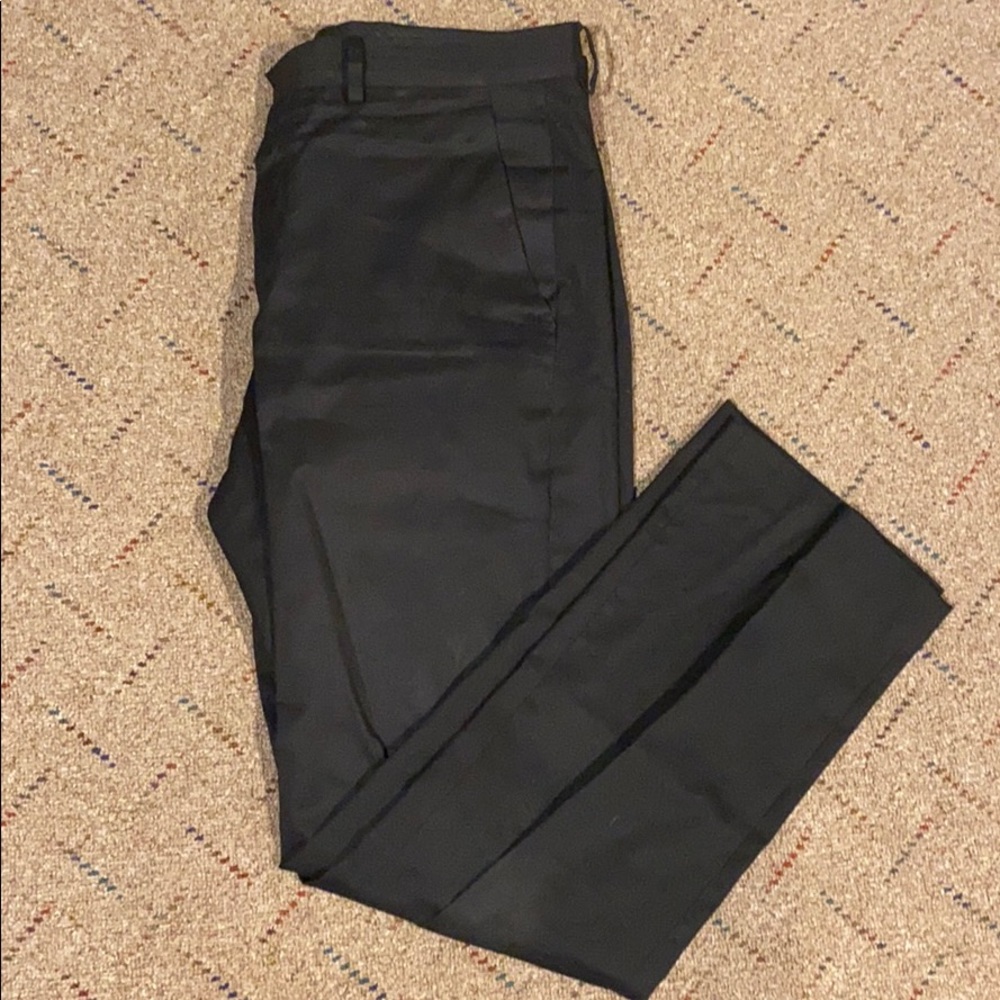 Express Dress Pants